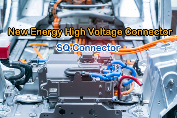 Market Determined Standards VS Guiding Determined Standards
