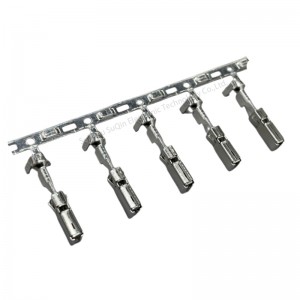 Aptiv 6001-3031 New Energy automotive Terminal Connector